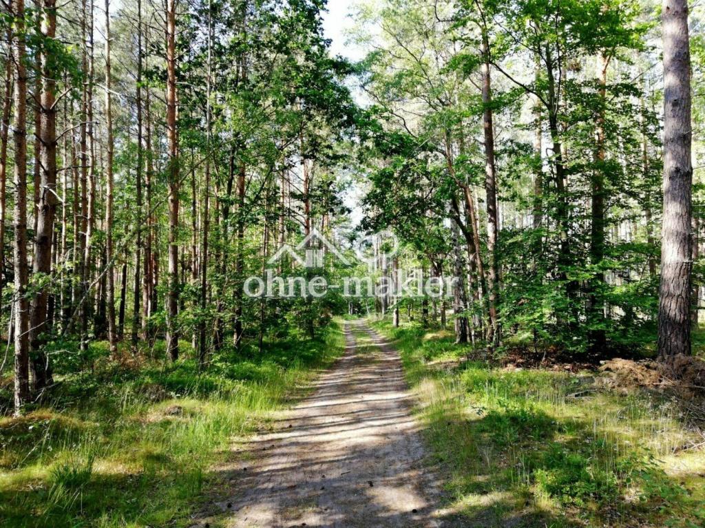 Waldweg