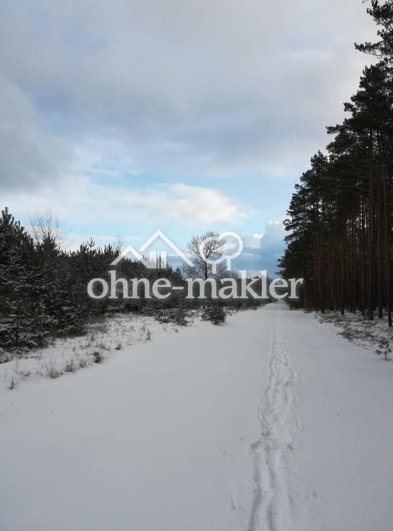 Waldweg