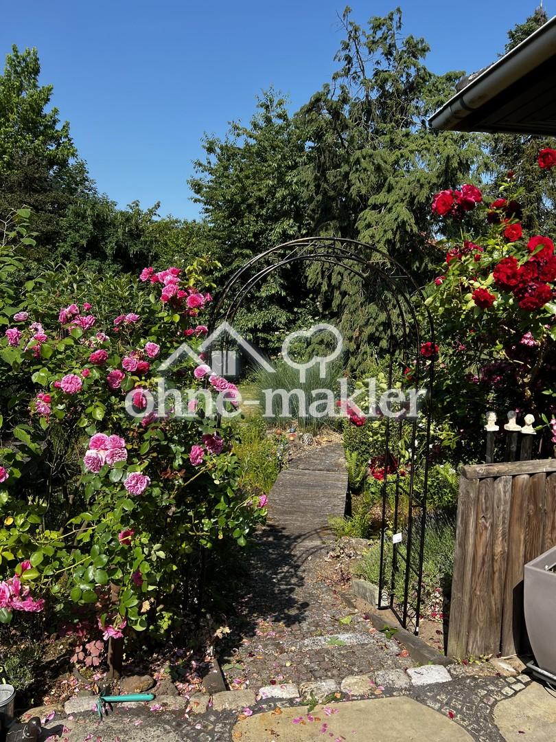 Blick von der Terrasse