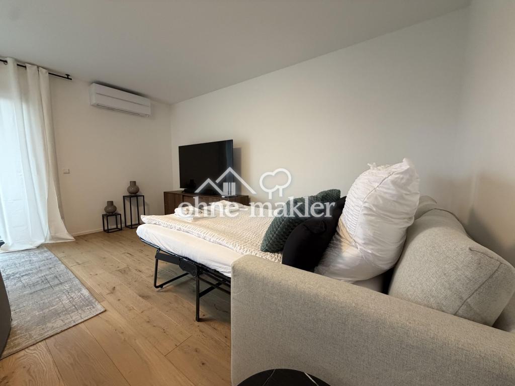 Exklusives Penthouse mit Whirlpool & Top-Anbindung nach Basel – voll möbliert auf Zeit zu vermieten - Photo 1