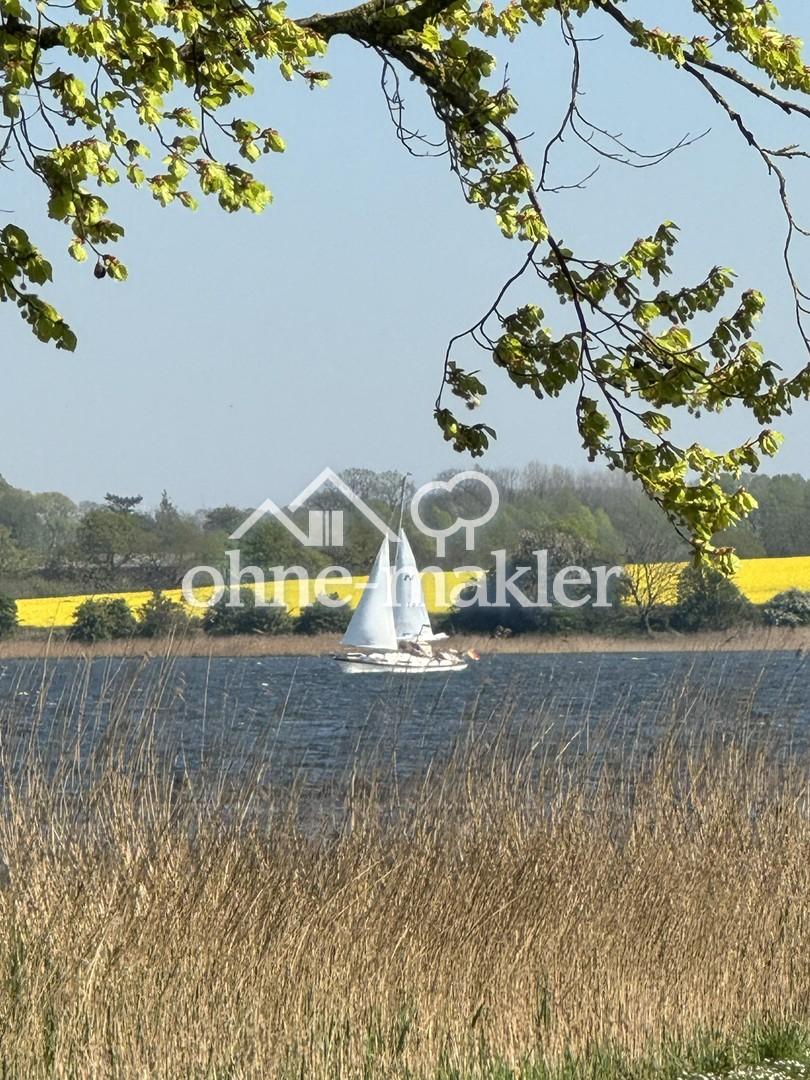 Sommer