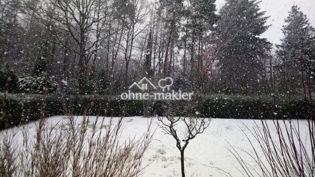 Ausschnitt vom Grundstück