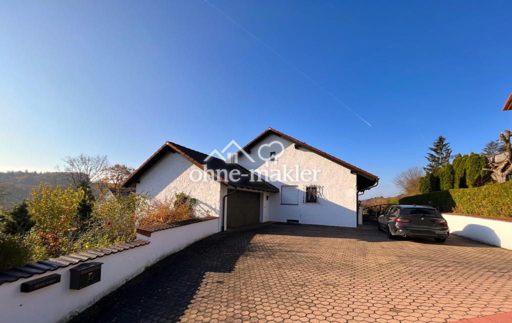 Einfahrt mit Garage