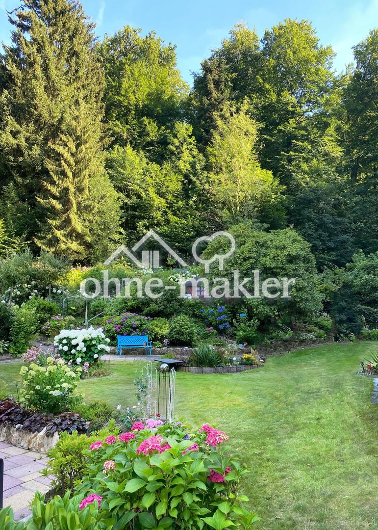 Blick in den Garten