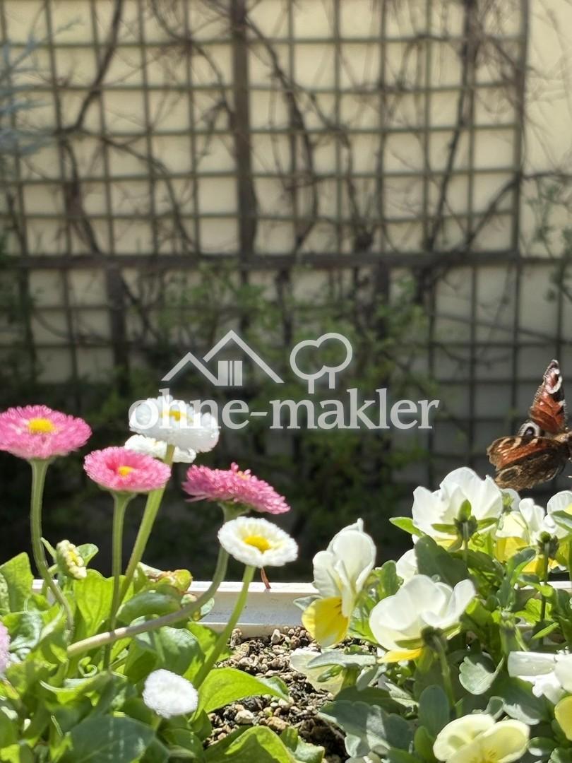 Balkon - Frühling