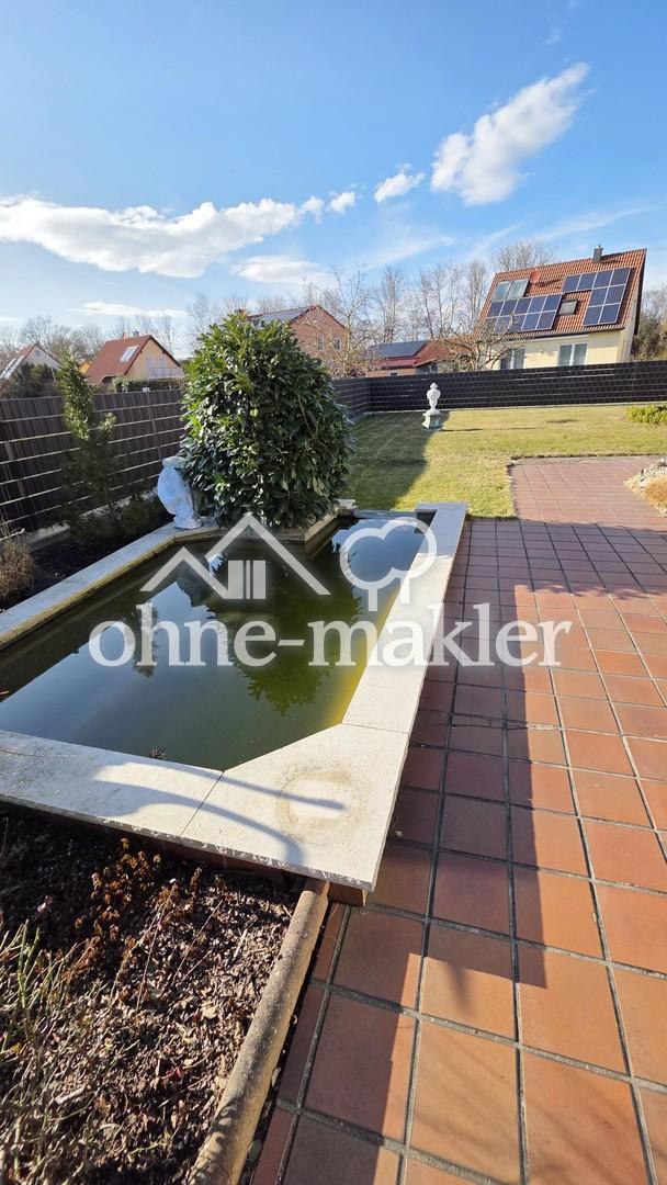 Fischteich im Garten