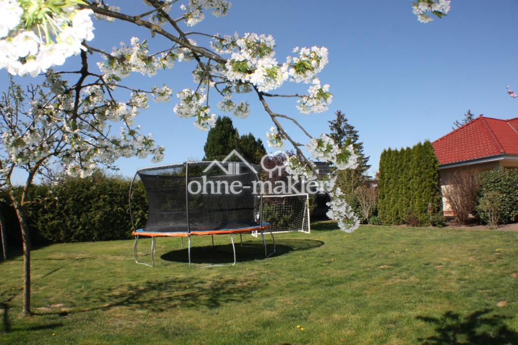 Großer, schöner Garten!
