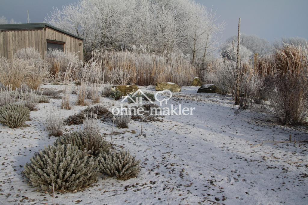 Kiesgarten Winter