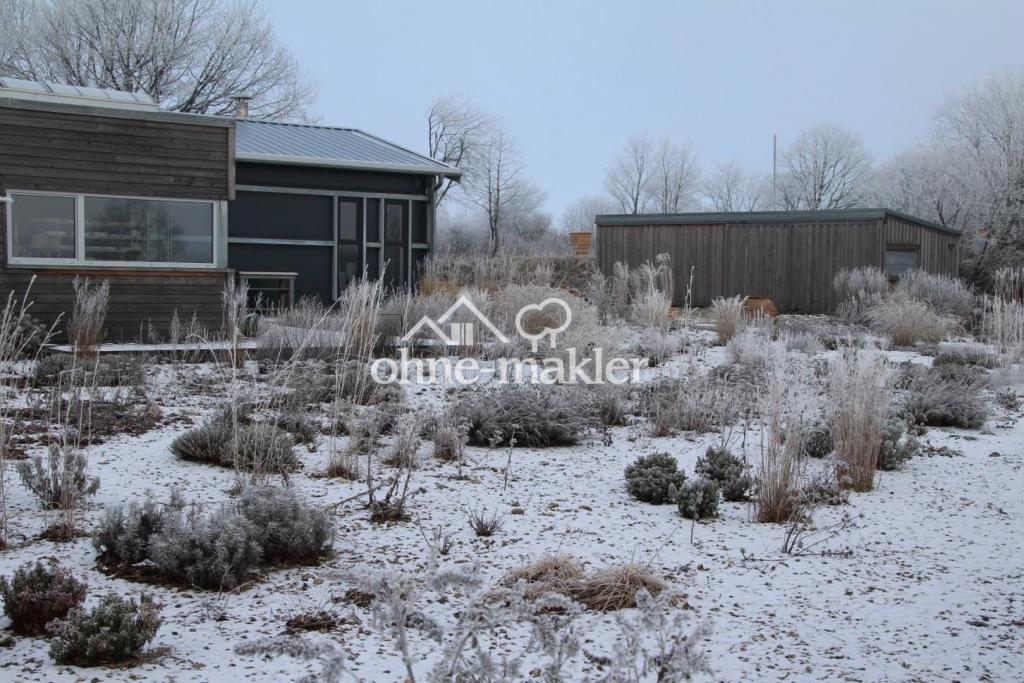 Kiesgarten Winter