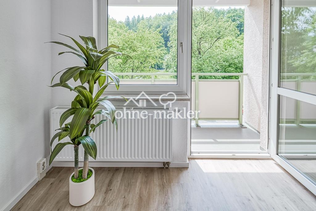 Wohnzimmer Balkon