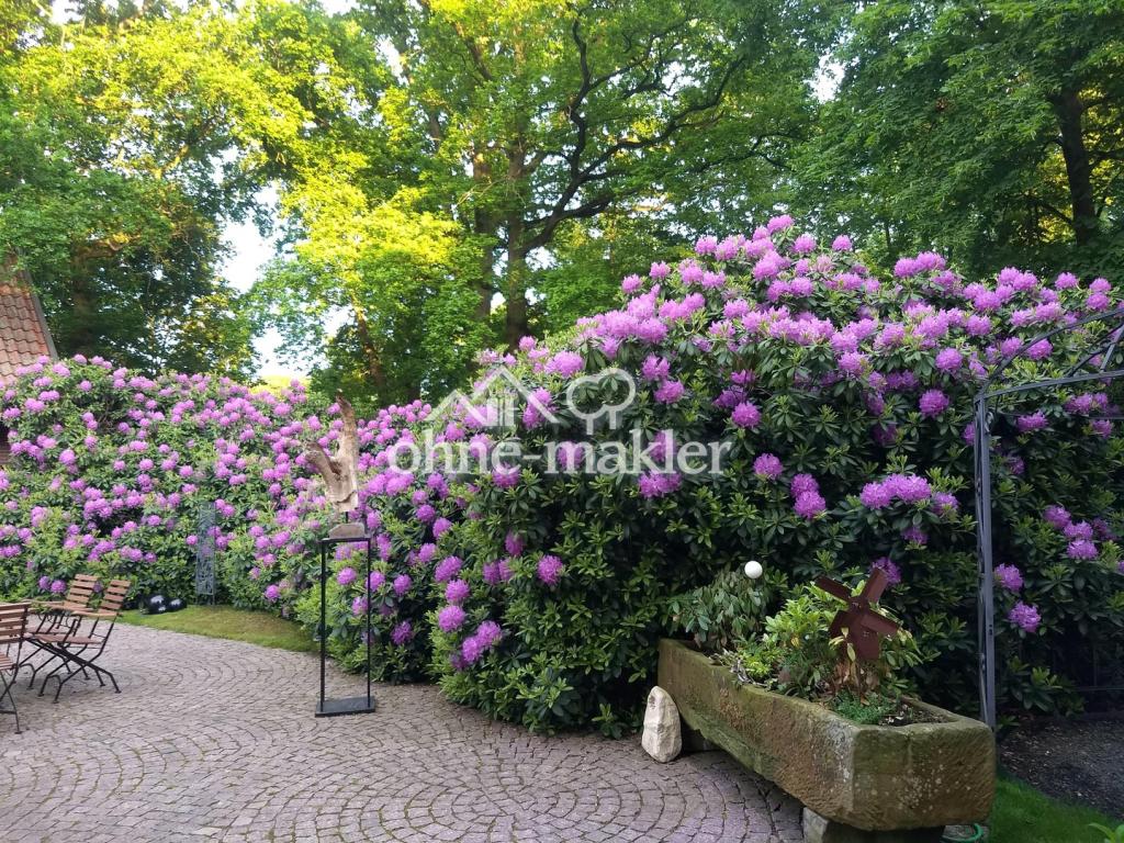 Rhododendren mit Sandsteintrog