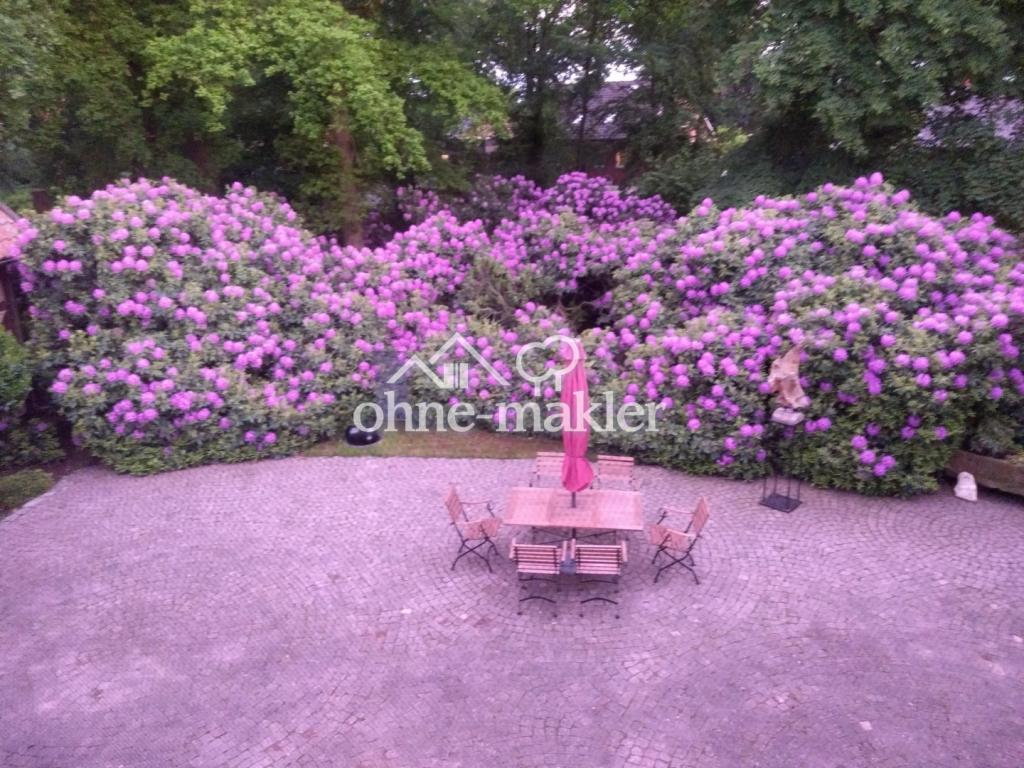 Rhododendrenhain