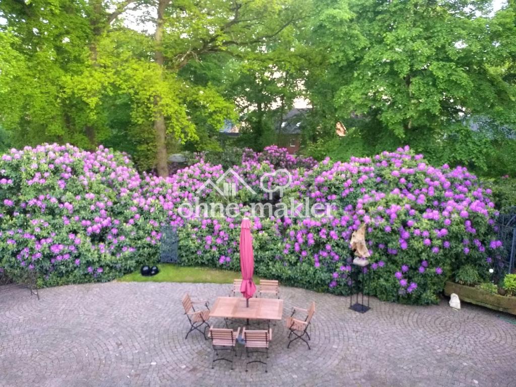 Rhododendren an Terasse