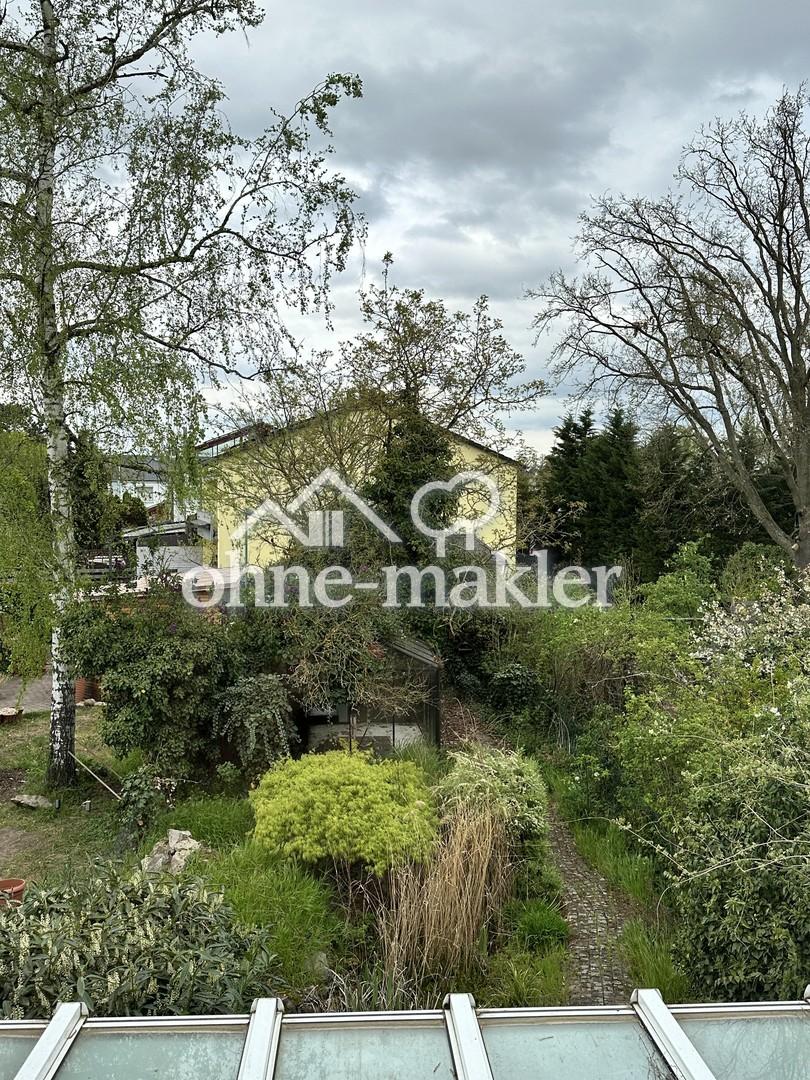 Blick in den Garten