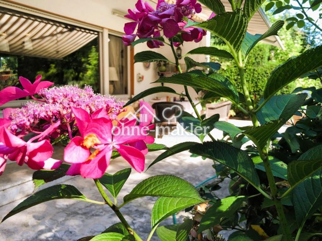 Terrasse im Sommer