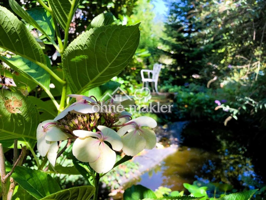 Garten im Sommer 