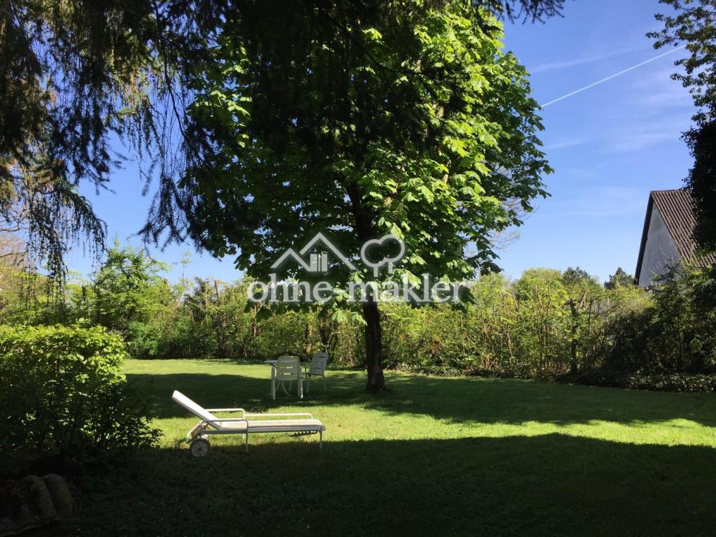 Garten/Baugrundstück