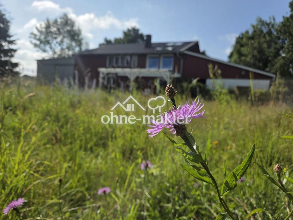Wildblumenwiese hinter dem Hof