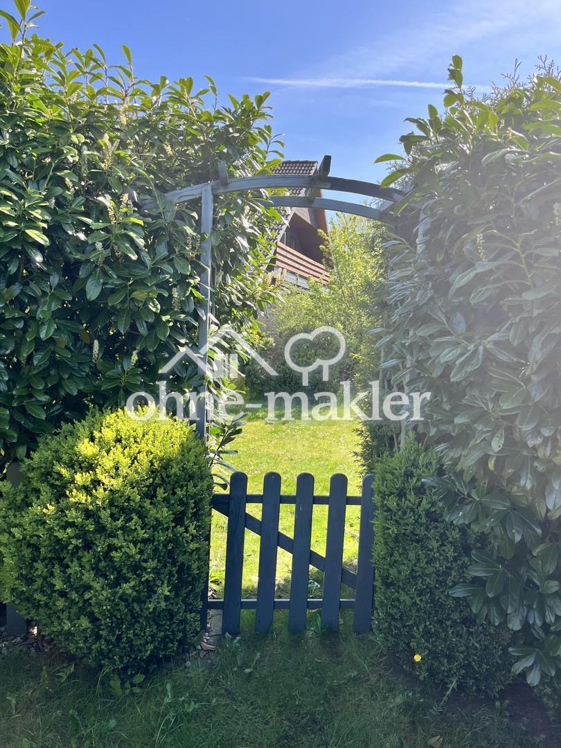 Blick in den Garten