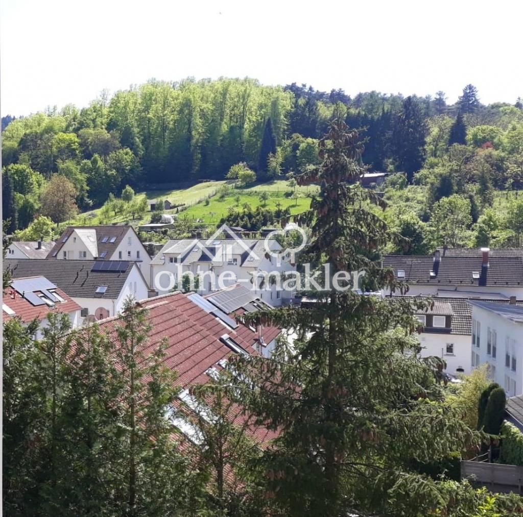 Blick auf den Exotenwald