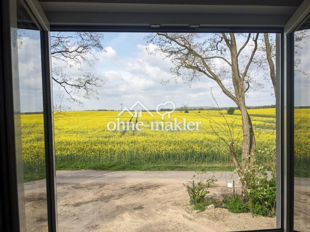 Sicht zur Terasse