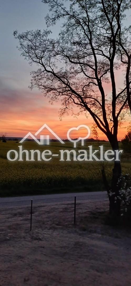 Sicht Grundstück 4