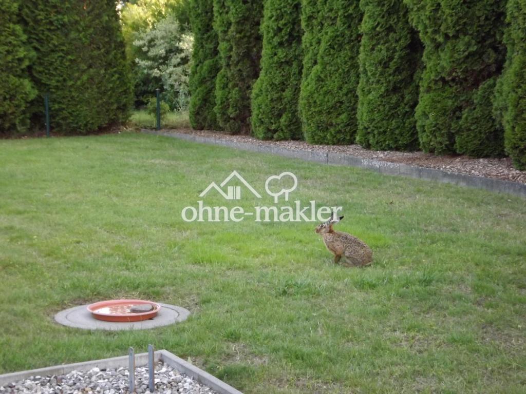 "Besucher" auf dem Grundstück