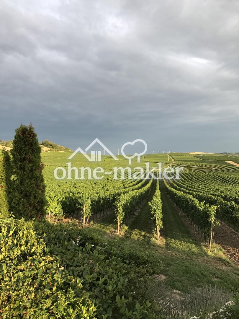 Garten Aussicht