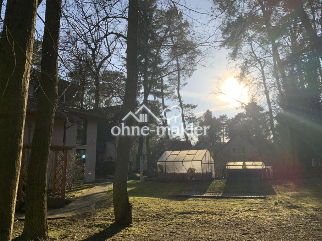 Rückseite/Gewächshaus
