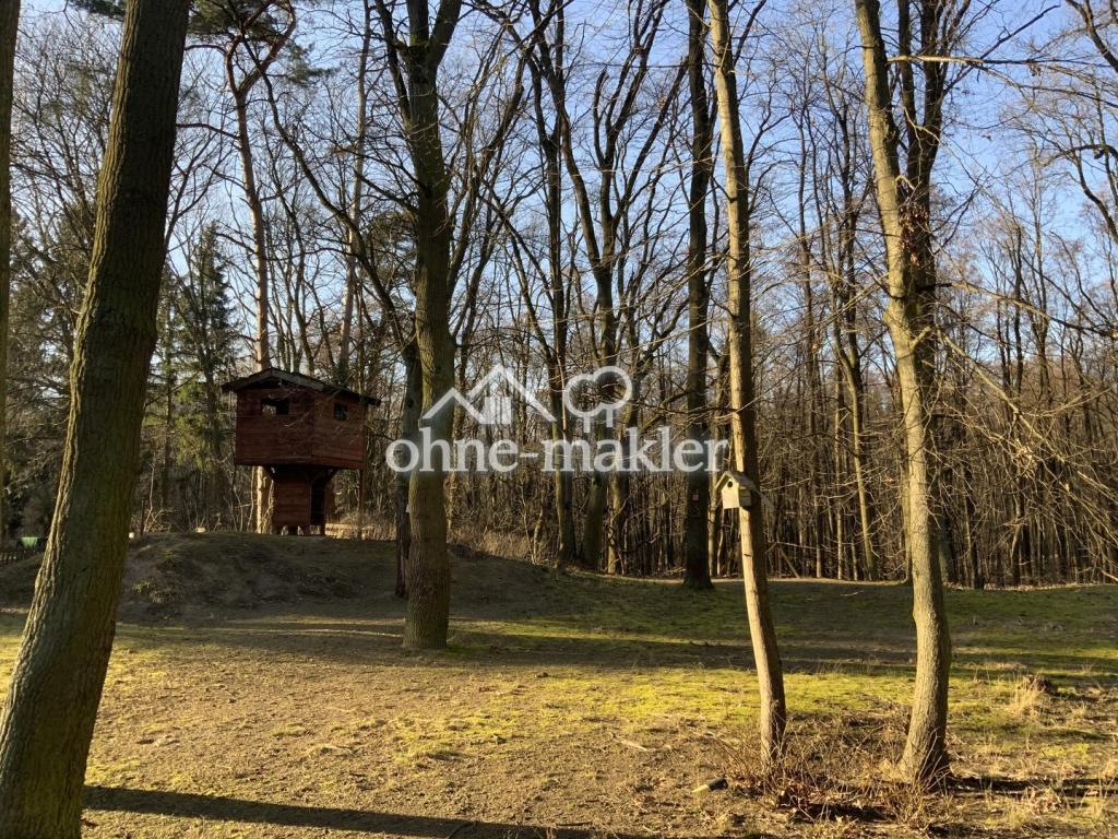 Baumhaus, Wald,Wiese