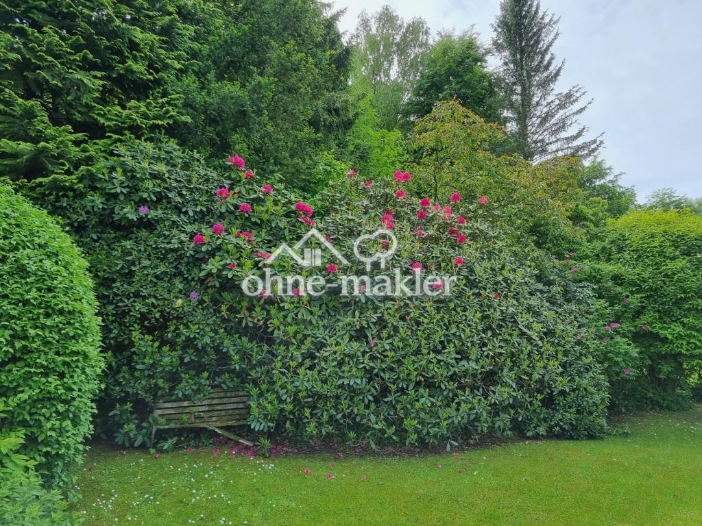 Rhododendron am Südende des Ra
