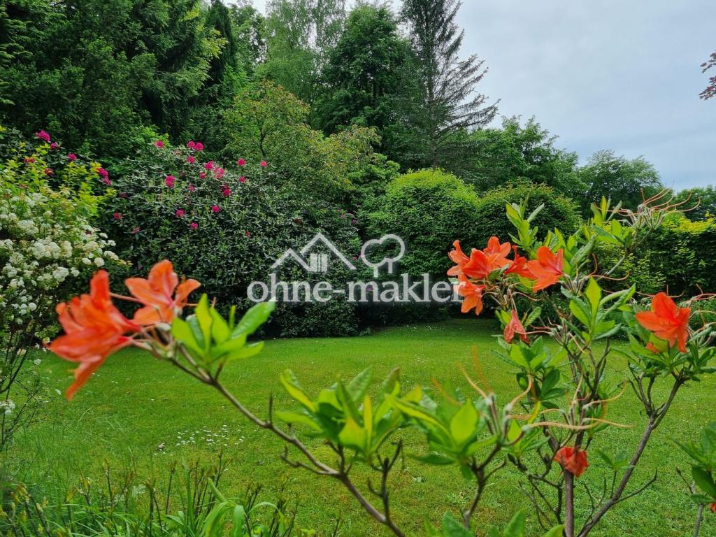 Garten im Mai