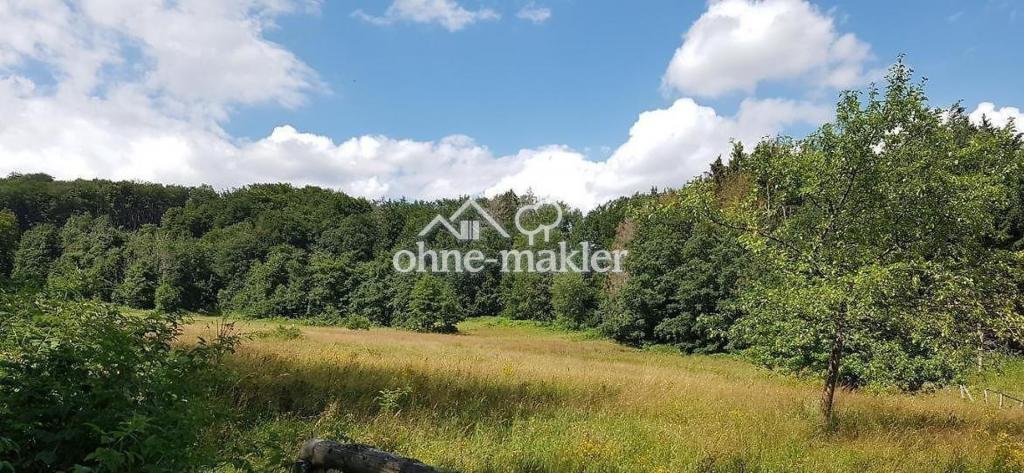 Blick über Wald, Feld, Wiese