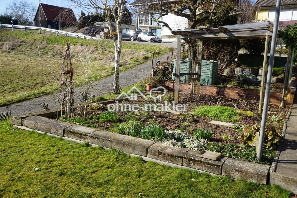 Gemüsegarten 