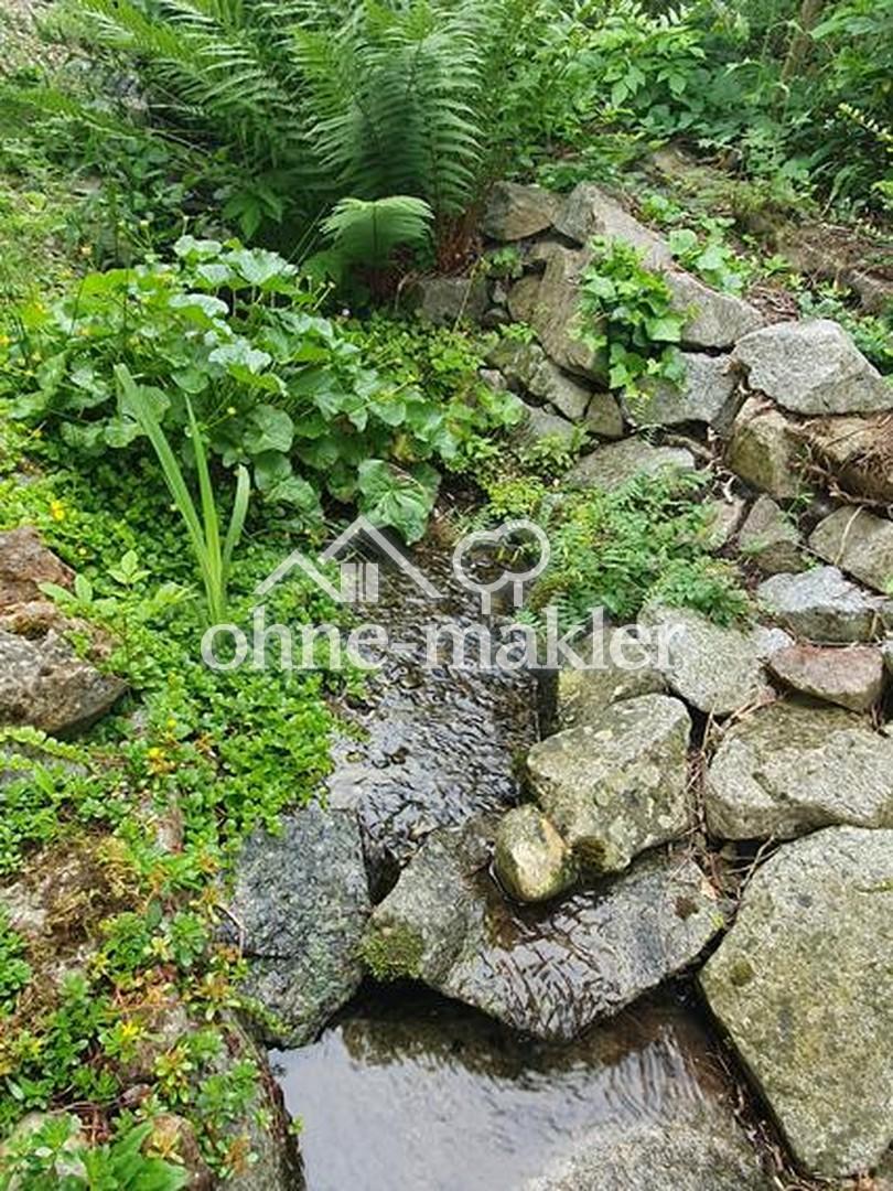 Naturgarten