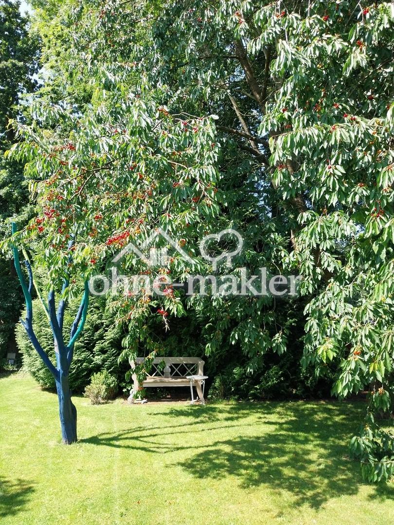 Bank unter dem Kirschbaum