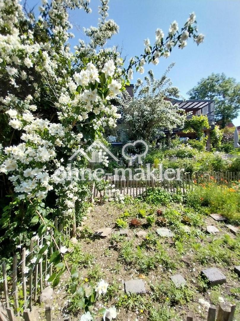 Blick vom Gemüsegarten 