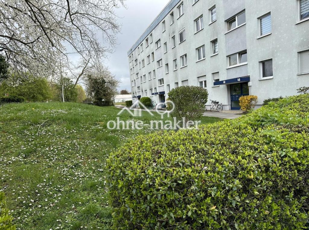 Außenanlage Eingangsbereich