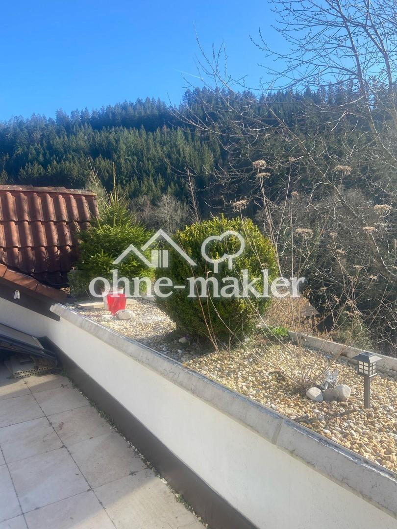 Blick aus Terrasse