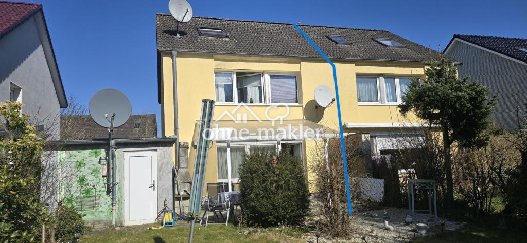 Blick aus dem Garten