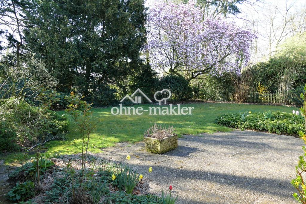 Blick in den Garten vom WZ