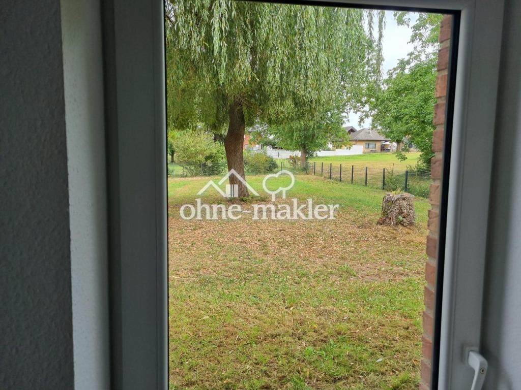 Blick in Garten