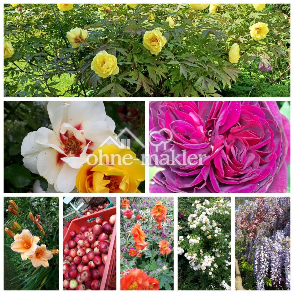 Gartenblühten