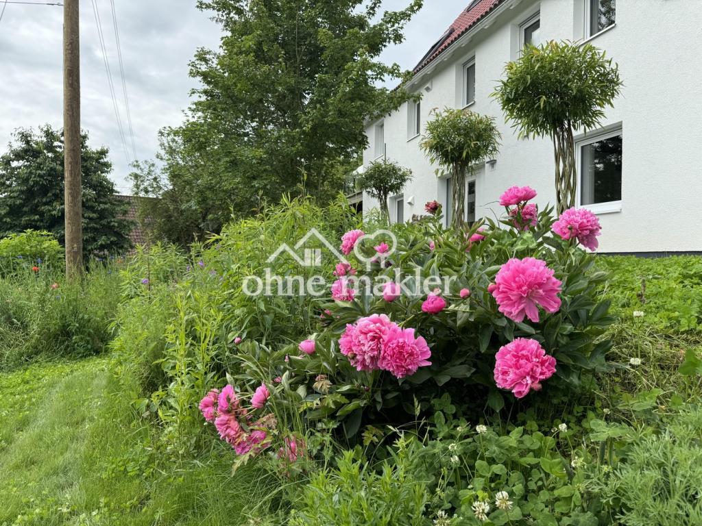 Eingangsbereich Blumen