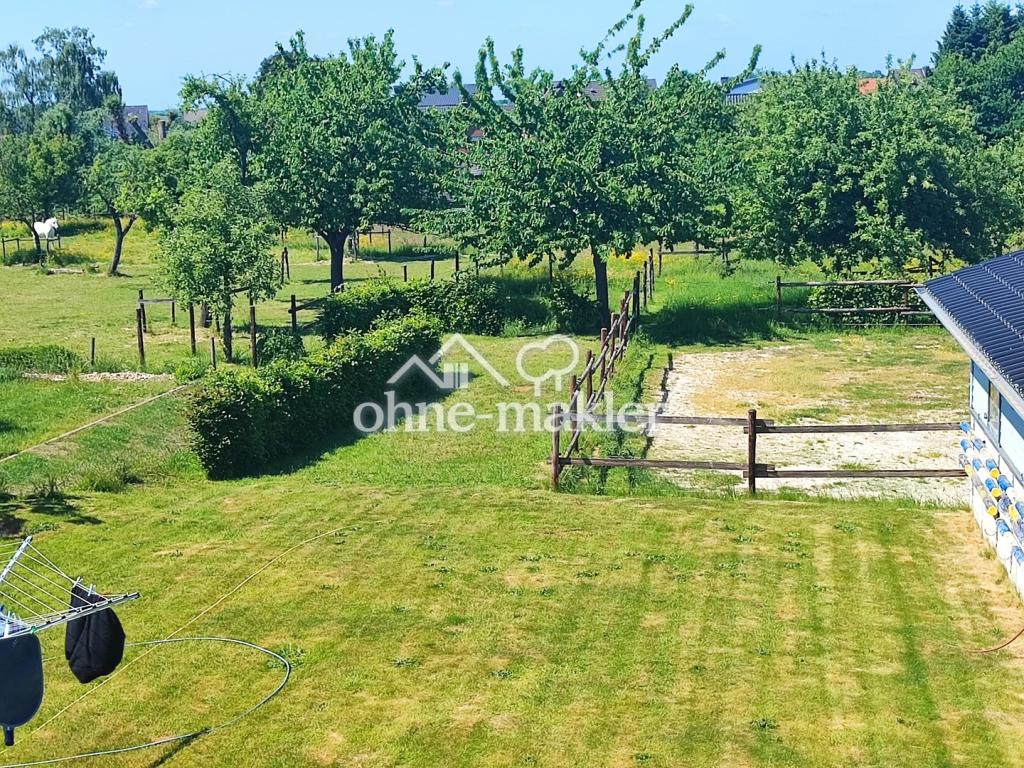 Blick vom OG auf die Obstwiese