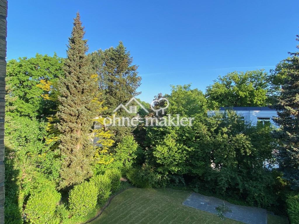 Blick in Garten