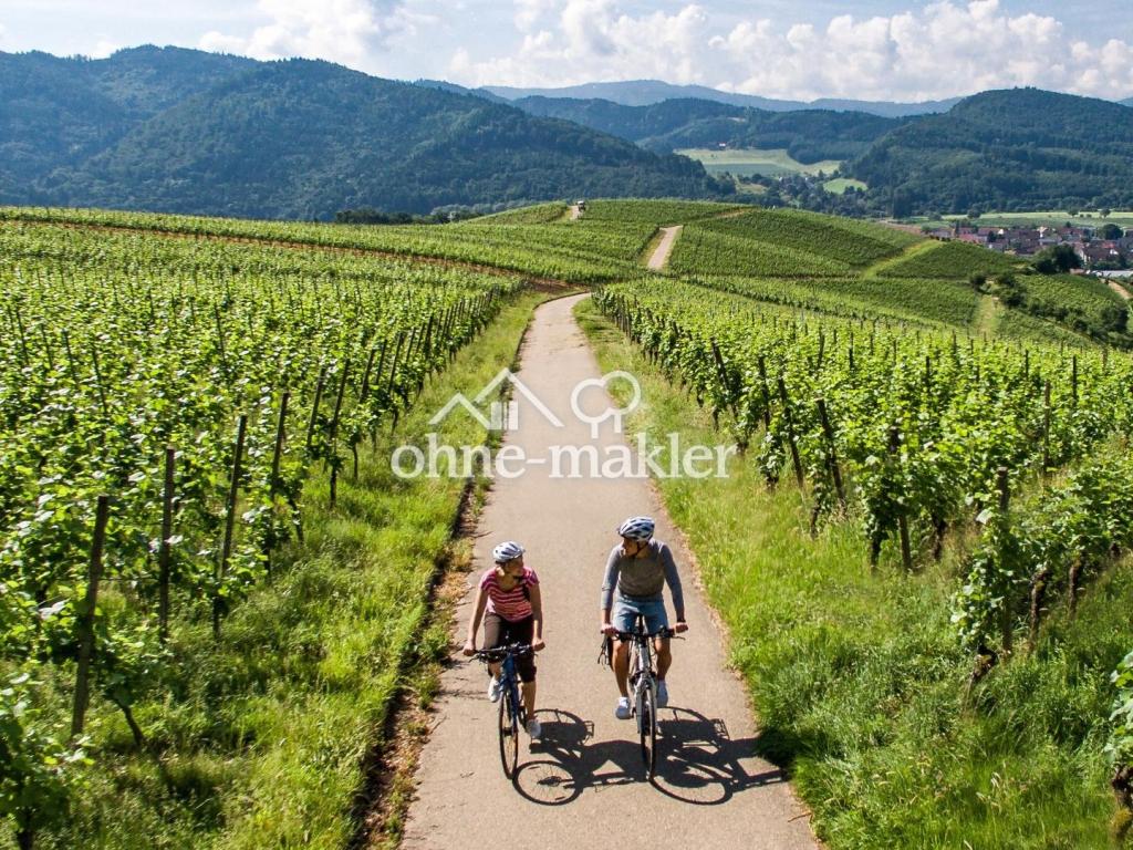 Unzählige Rad-und Wanderwege