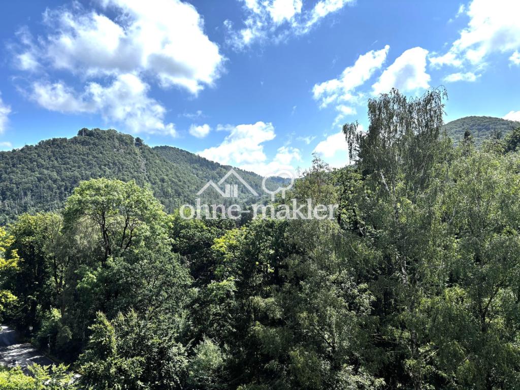 Blick vom Balkon zum Burgberg