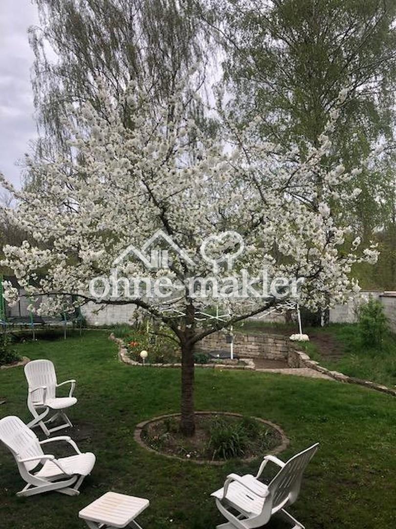 Garten Rückseite