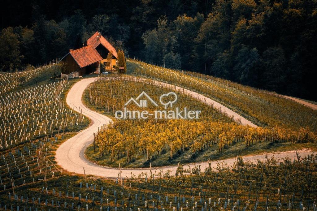 Wohlfühlen in den Weinbergen
